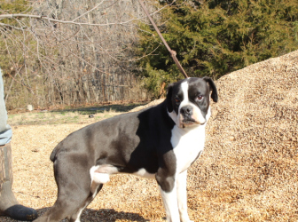 2026-01-21-13.08.53-2