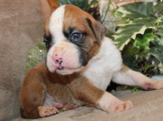 2025-12-26-16.06.30-1