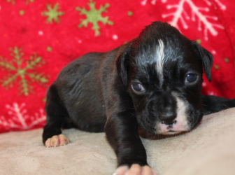 2025-12-26-16.09.45-2