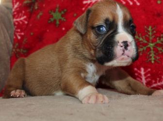 2025-12-26-16.13.24-2