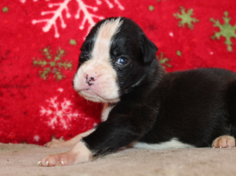 2025-12-26-16.18.29-2