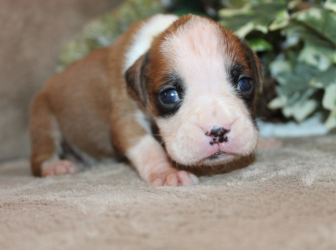 2025-12-26-16.22.15-3