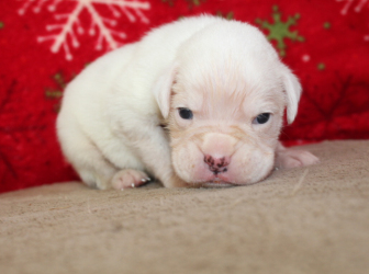 2025-12-26-16.32.33-2