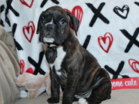 2026-01-19-11.18.36-1