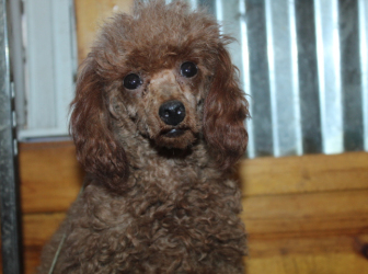 2025-10-22-10.14.05-1