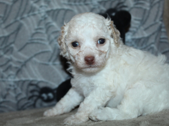 2025-10-15-21.01.45-2