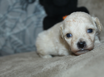 2025-10-16-16.41.34-2