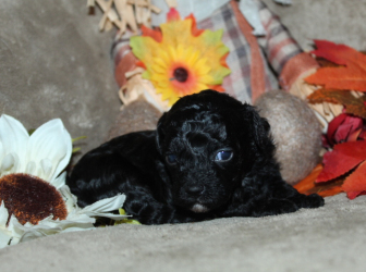 2025-10-26-18.42.08-2