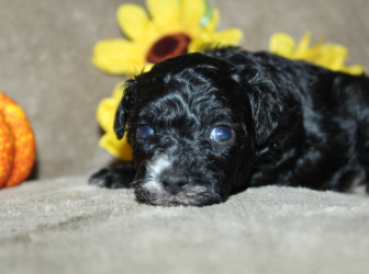 2025-10-26-18.54.45-2