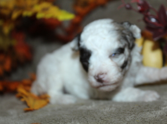 2025-10-26-19.01.14-2