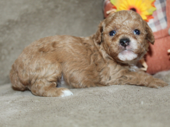 2025-11-13-12.59.03-2