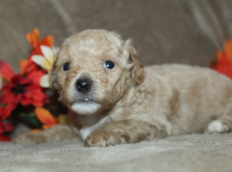 2025-11-13-13.04.21-2