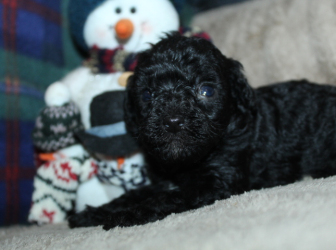 2025-11-24-12.43.04-2