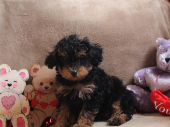 2026-01-09-12.01.23-2