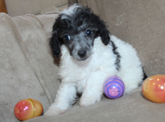 2026-03-18-09.46.22-2