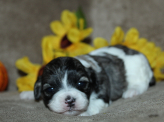 2025-10-26-19.09.18-1