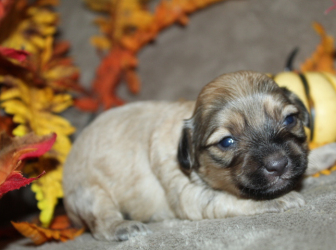 2025-10-26-19.17.16-2