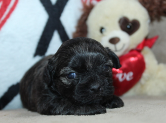 2026-01-16-12.29.55-2