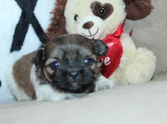 2026-01-16-12.36.55-2