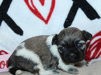 2026-01-16-12.39.55-1