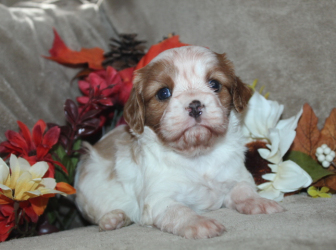 2025-11-08-16.01.19-2