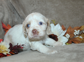 2025-11-08-16.16.27-3