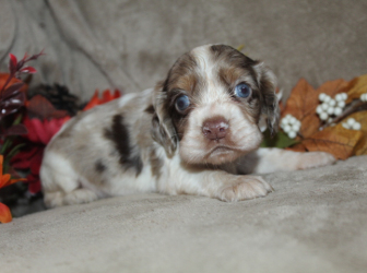 2025-11-08-16.22.19-2