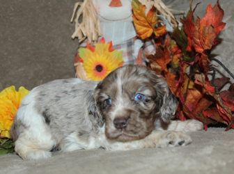 2025-11-08-16.26.33-1