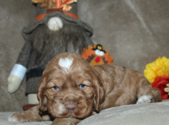 2025-11-08-17.28.18-2