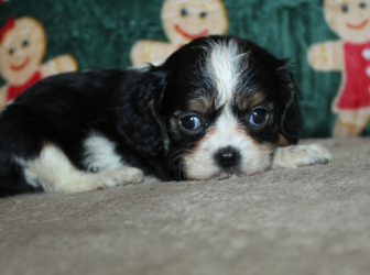 2025-12-03-09.35.42-2