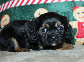 2025-12-03-09.43.39-2