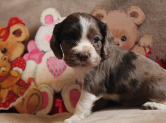 2026-01-09-12.42.37-3