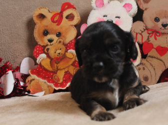 2026-01-09-12.44.11-1