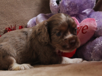 2026-01-09-12.47.59-2