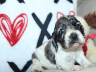 2026-01-16-12.04.51-2