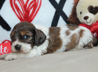 2026-01-16-12.10.40-1