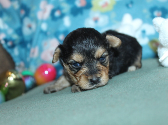 2026-03-04-10.19.05-1