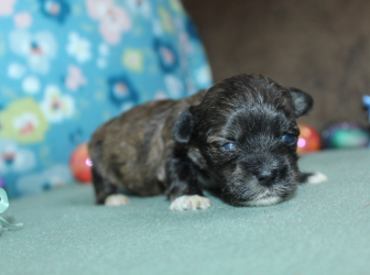 2026-03-04-10.21.05-2