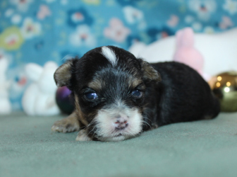 2026-03-04-10.22.53-2