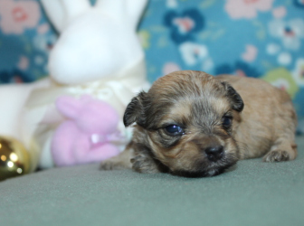 2026-03-04-10.26.44-1