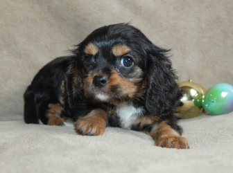 2026-03-15-14.05.29-1