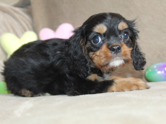 2026-03-15-14.09.40-1