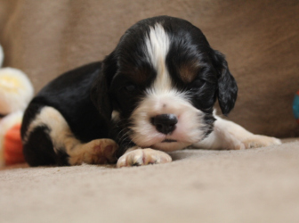 2026-03-17-14.45.50-2