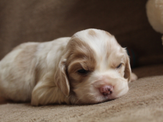 2026-03-17-14.48.21-2