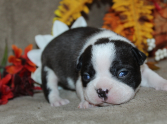 2025-10-24-12.06.46-1