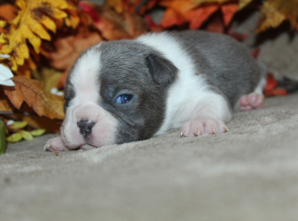 2025-10-24-12.19.09-2