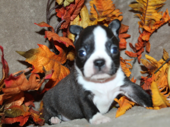 2025-10-26-17.48.16-1