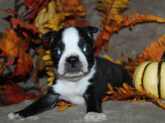 2025-10-26-17.50.59-2