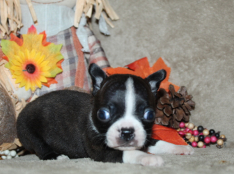 2025-10-26-18.00.01-1