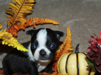 2025-10-26-18.04.15-1